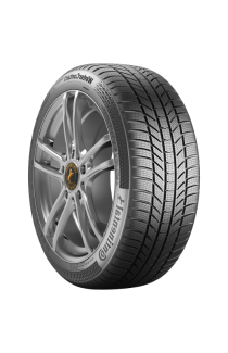Continental WinterContact TS 870 P tire