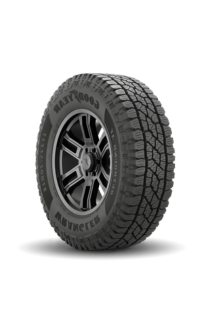 Goodyear WRANGLER OUTBOUND AT tire