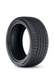 Lionhart RAMANI A/S tire
