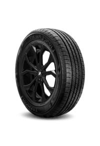 Lionhart LIONCLAW HT tire