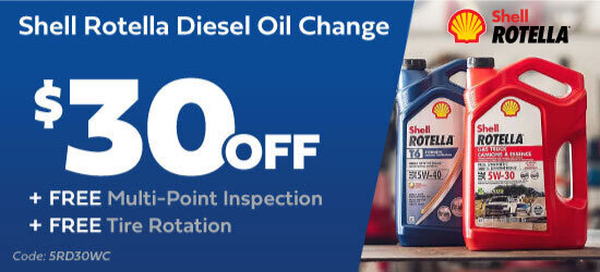 Spring Sale Special Offer